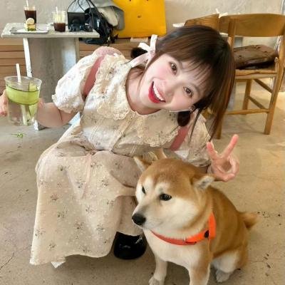 同梦奇缘之缘